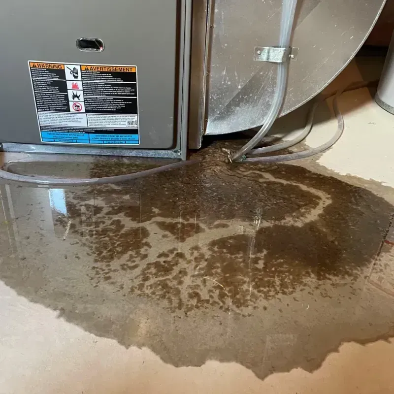 Appliance Leak Cleanup in Fort Irwin, CA